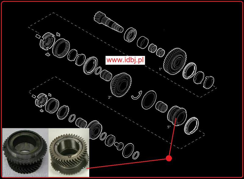 Fotografia produktu PAMMELSON PAM55214118 KOŁO ZĘBATE 5 BIEG DUCATO, BOXER, JUMPER 06- SYNCHRONIZOWANE M40 3.0 JTD, HDI koło piątego biegu 41 zębów