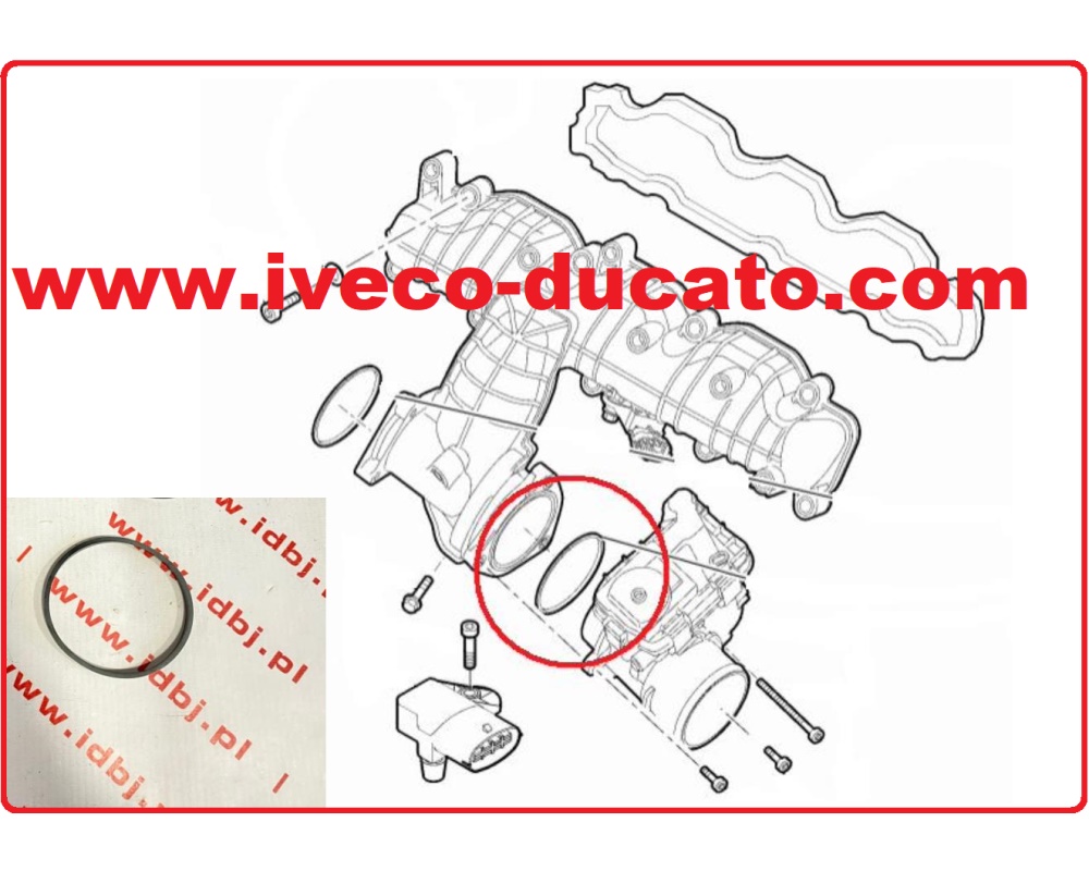 Fotografia produktu FIAT OR5801484363 USZCZELKA, KWADRING MIĘDZY PRZEPUSTNICĄ A KOLEKTOREM DUCATO 11- 2.3 EURO 5 uszczelka, oring przepustnicy powietrza Iveco Daily 2.3 jtd 11-, 14- kolor czarny.