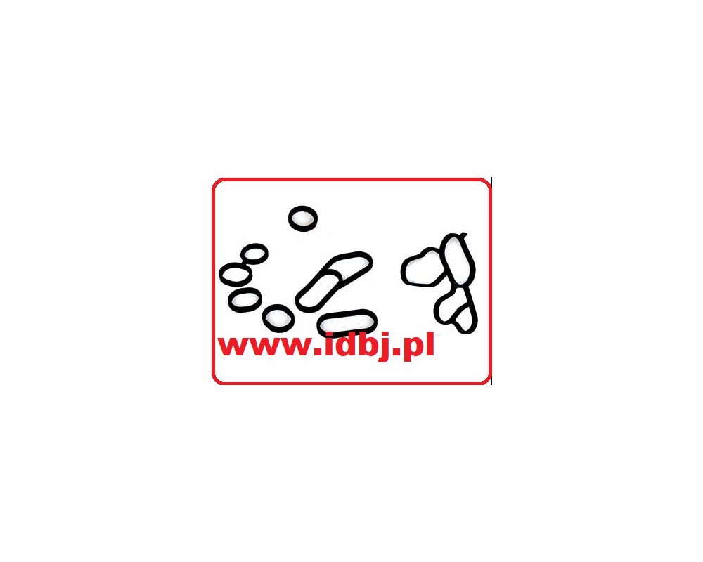 Fotografia produktu PAMMELSON PAM123310537 USZCZELKA PODSTAWY FILTRA OLEJU, CHŁODNICZKI FIAT, OPEL, CITROEN 1.3 JTD ZESTAW PEUGEOT 1.3 HDI, POD PODSTAWĘ FI LTRA OLEJU DO 1.3 MTJ SYSTEM PURFLUX.