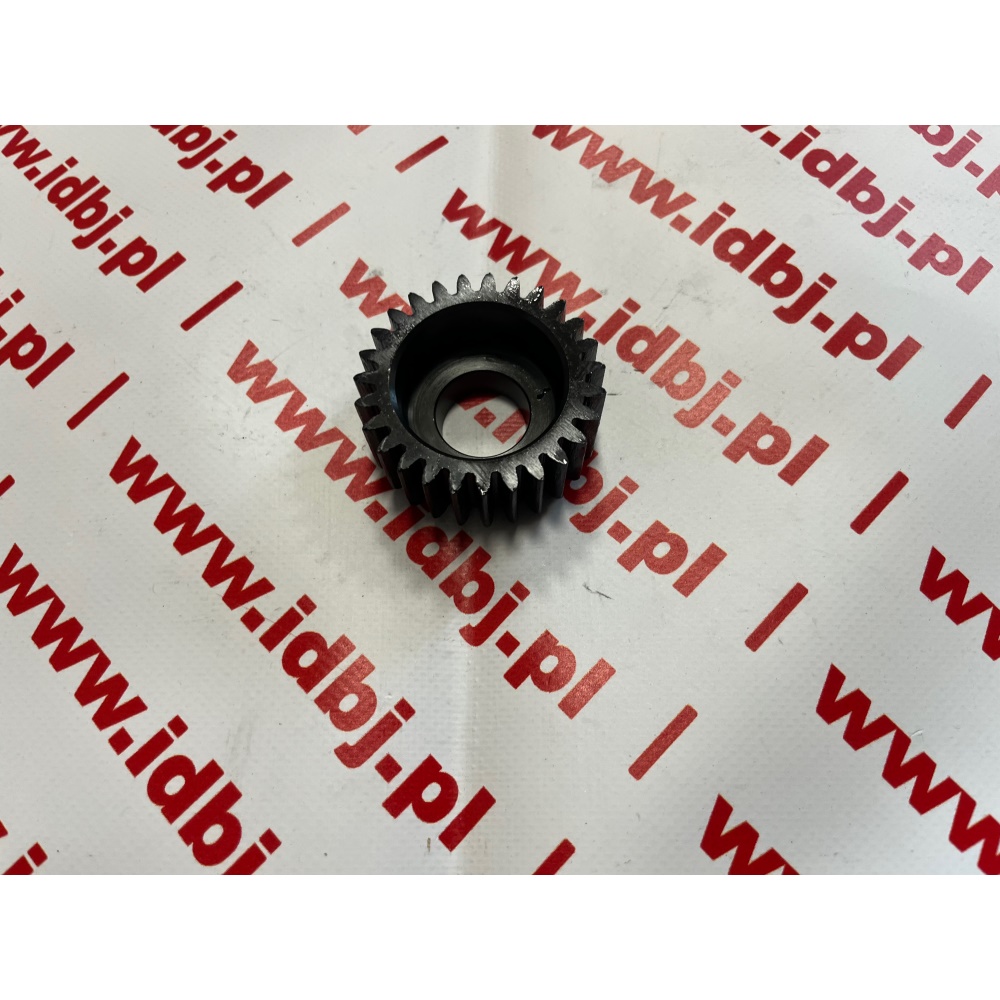 Fotografia produktu PAMMELSON PAM8200413951 KOŁO ZĘBATE ROZRZĄDU POMPY WODY  RENAULT MASTER 2.5 DCI 