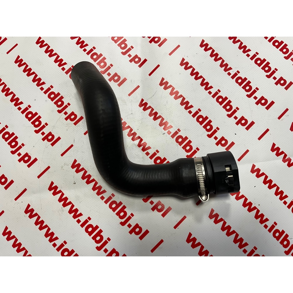 Fotografia produktu PAMMELSON PAM51779918 WĄŻ, RURA, PRZEWÓD CHŁODNICY FIAT PANDA 03- DOLNA 1.2 - SZYBKOZŁĄCZKA 