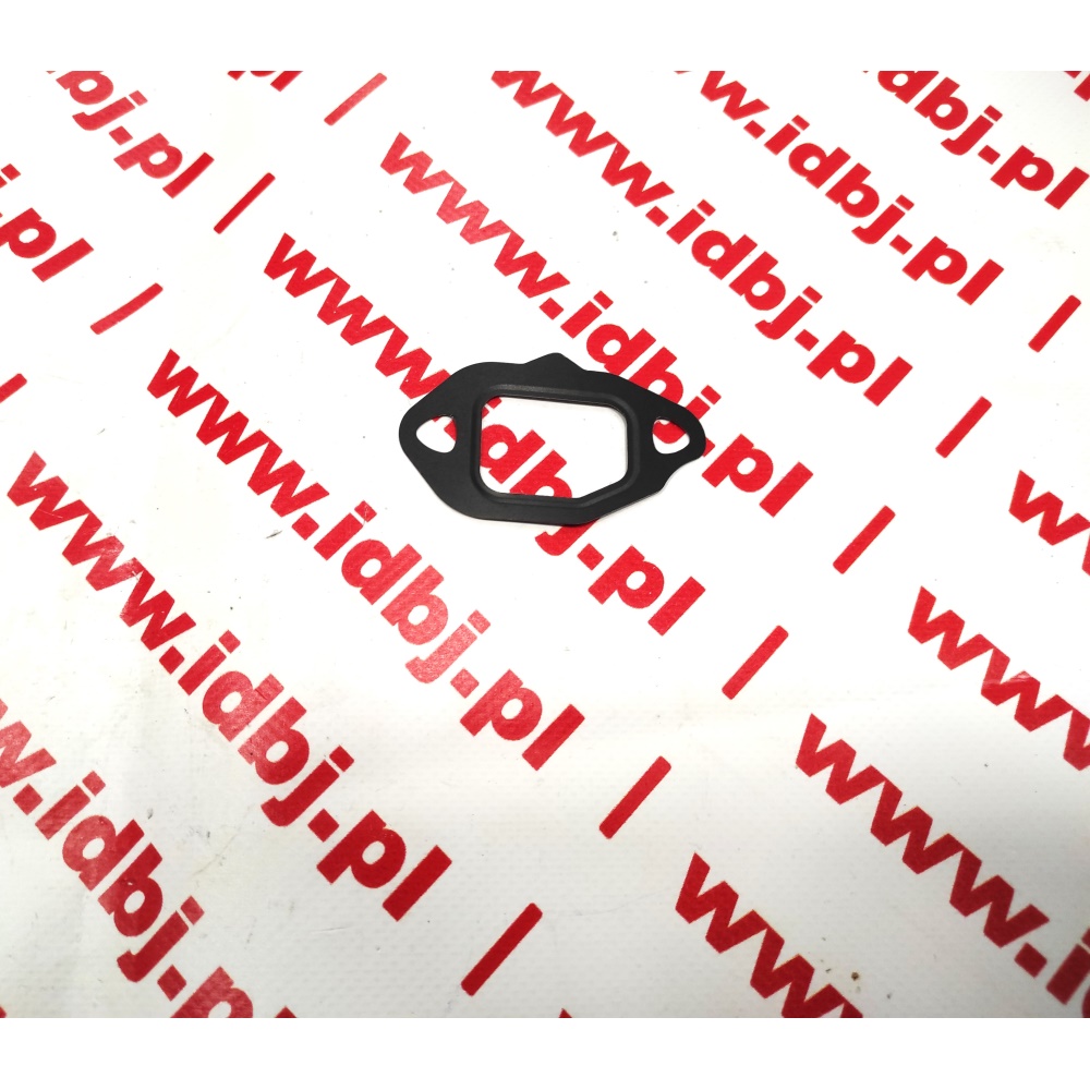 Fotografia produktu PAMMELSON PAM73502579 USZCZELKA ZAWORU EGR FIAT DOBLO, PANDA, PUNTO 1.3 JTD 