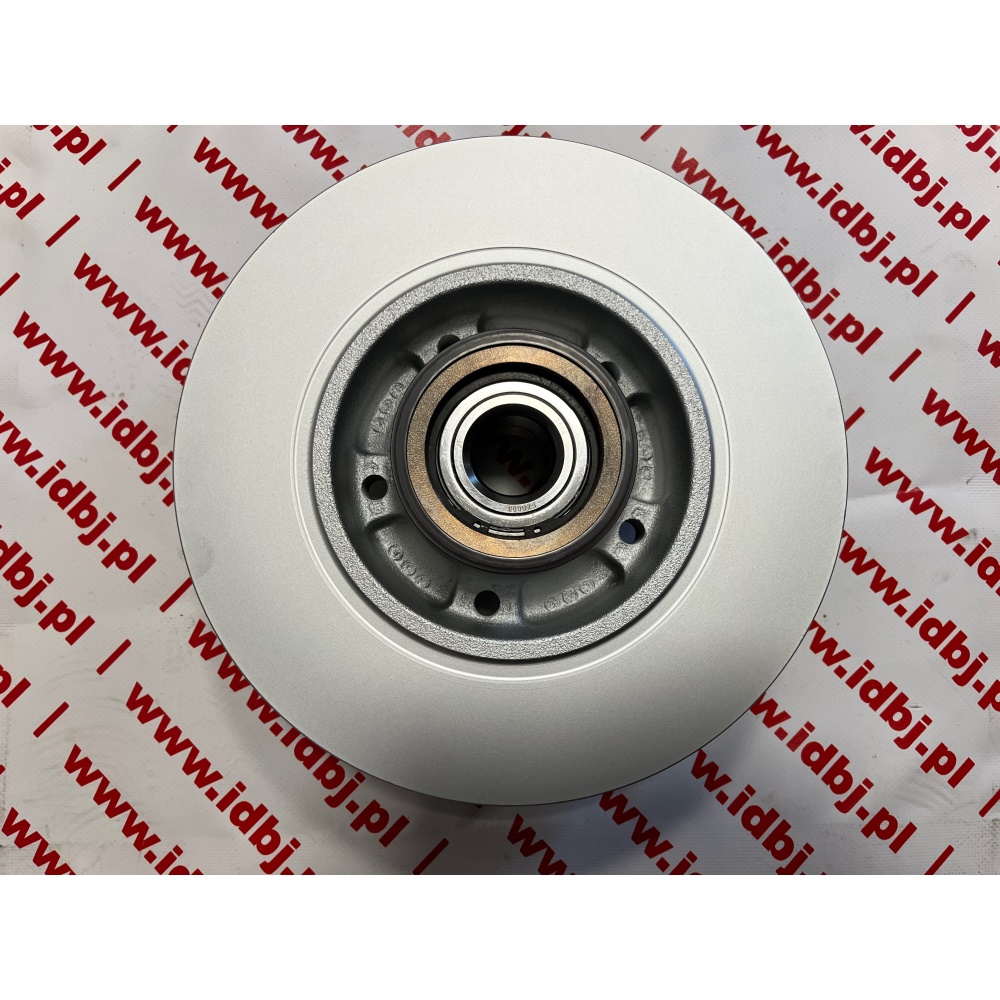 fotografia produktu PAMMELSON PAM432006609R, TARCZA HAMULCOWA TYŁ  Z ŁOŻYSKIEM RENAULT MEGANE IV 16-